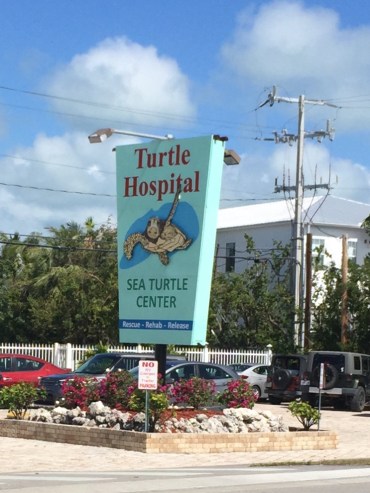 45A120F6-DA79-4D1E-9D66-3CD383C0CB0A