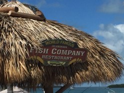 5E5DE87B-6CF8-49E7-8EDA-15C46C2FC1C6