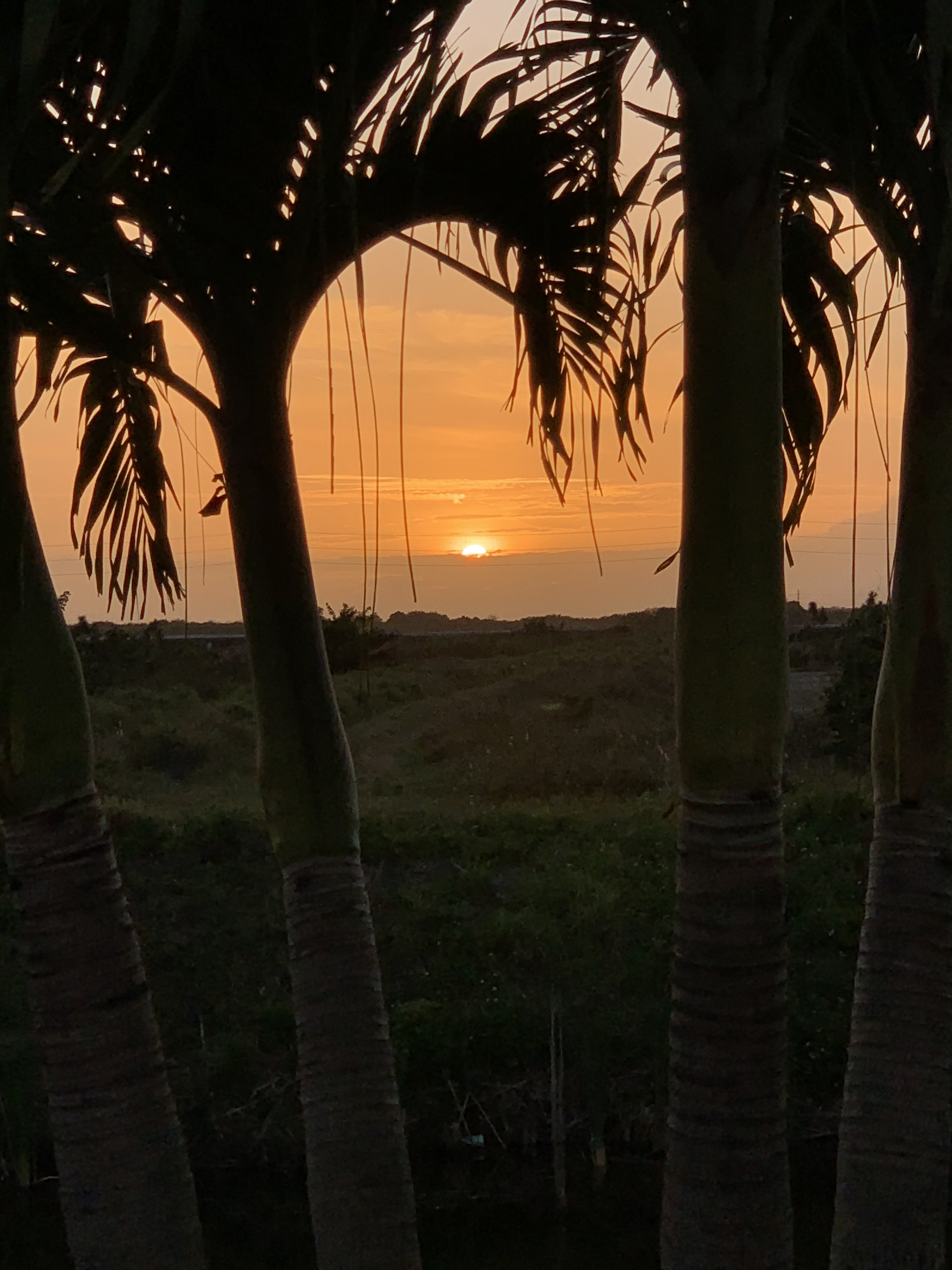 BC51AB4E-BE98-4640-9F5B-B81A1FDE2418